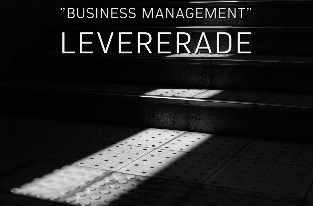 Tjänster inom ”Business Management” levererade