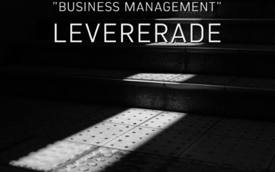 Tjänster inom ”Business Management” levererade