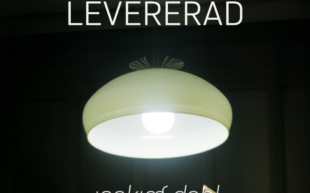 Affärsrådgivning levererad